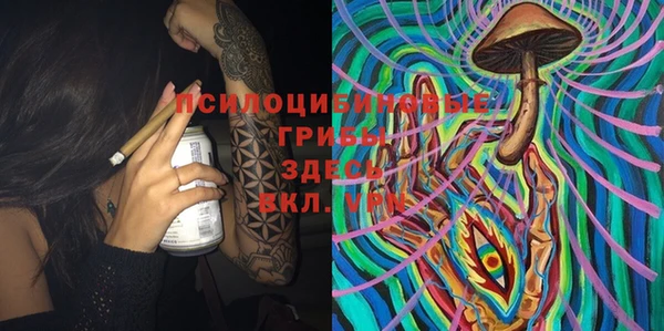 спиды Богданович