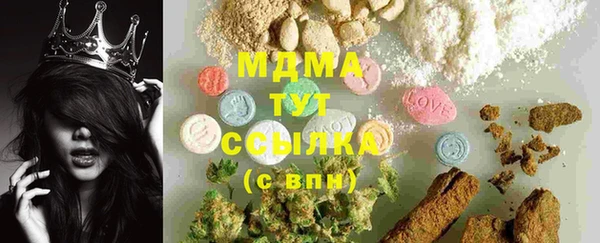 спиды Богданович