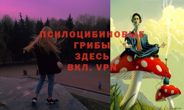 mdpv Строитель