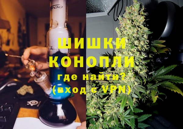 спиды Богданович