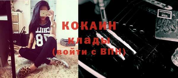 спиды Богданович