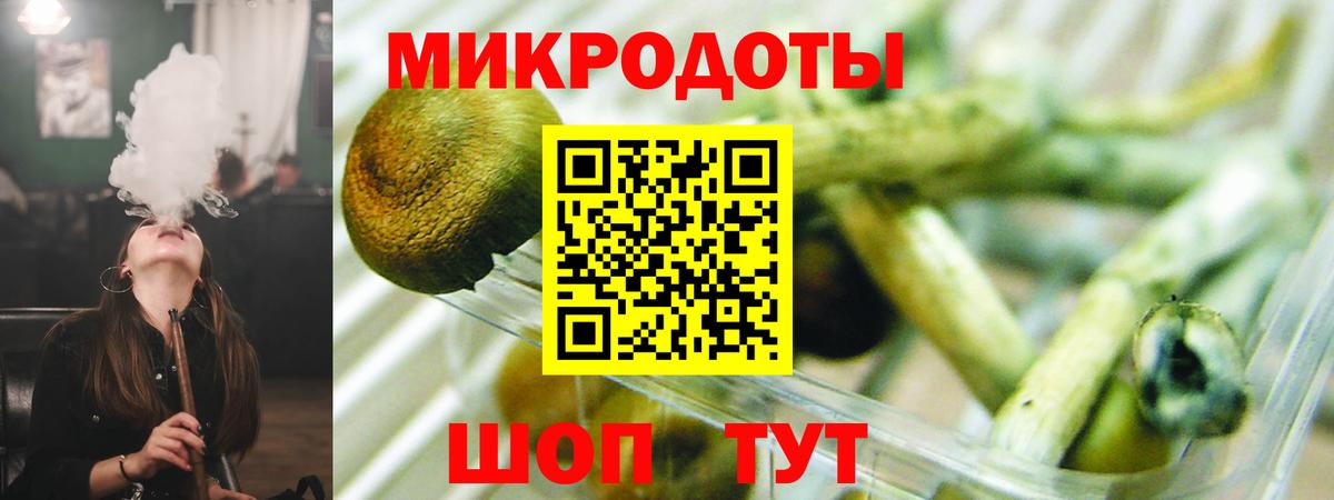 Псилоцибиновые грибы MAGIC MUSHROOMS  Псилоцибиновые грибы ЛСД  Сердобск  где купить наркотик  Вход с VPN 