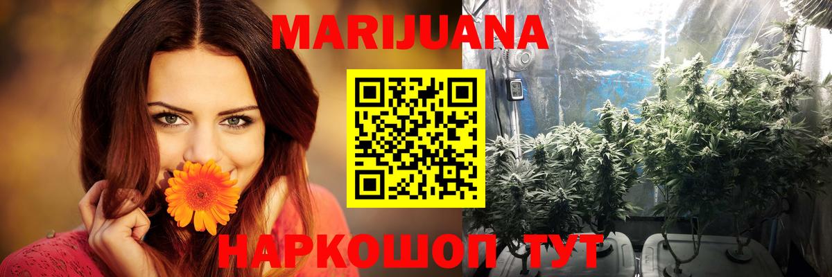Шишки марихуана Amnesia Сердобск